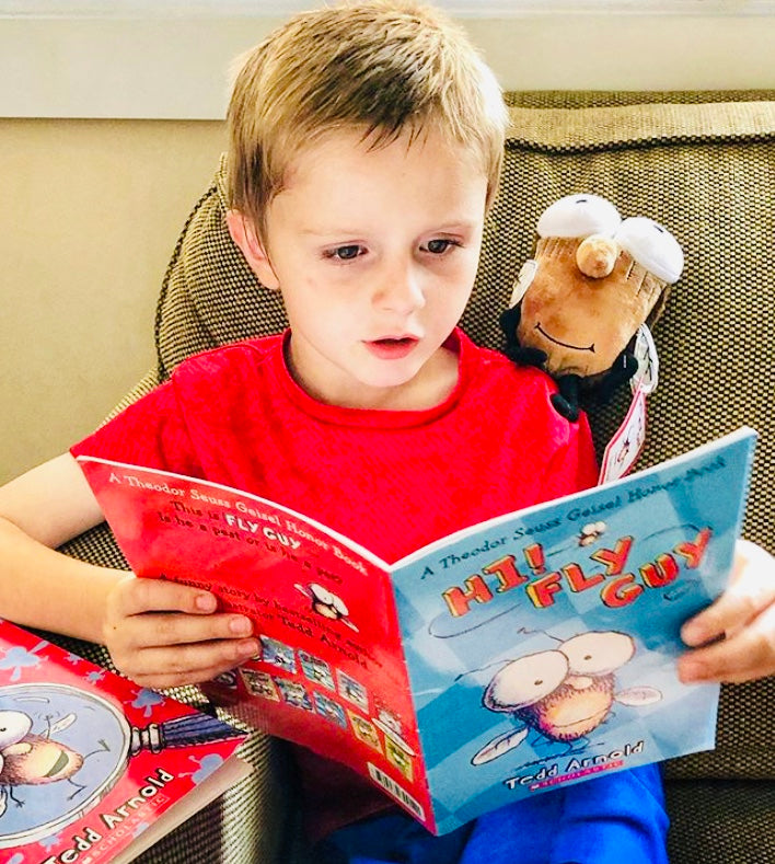 Fly Guy Doll Book MerryMakers Inc fly-guy-doll-book-merrymakers-inc